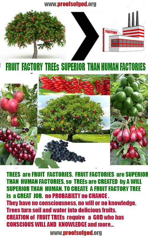 proofs of god, evidences of God scientific proof of God   