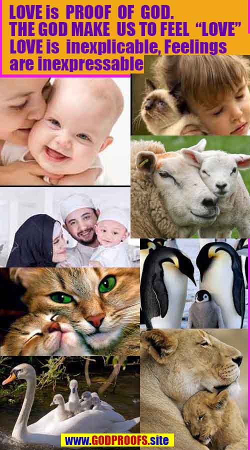 proofs, signs, evidences of God