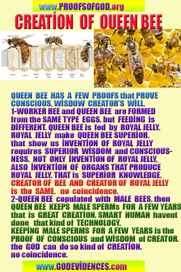 proofs of god, evidences of God  