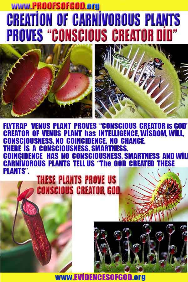 proofs of god, evidences of God scientific proof of God   