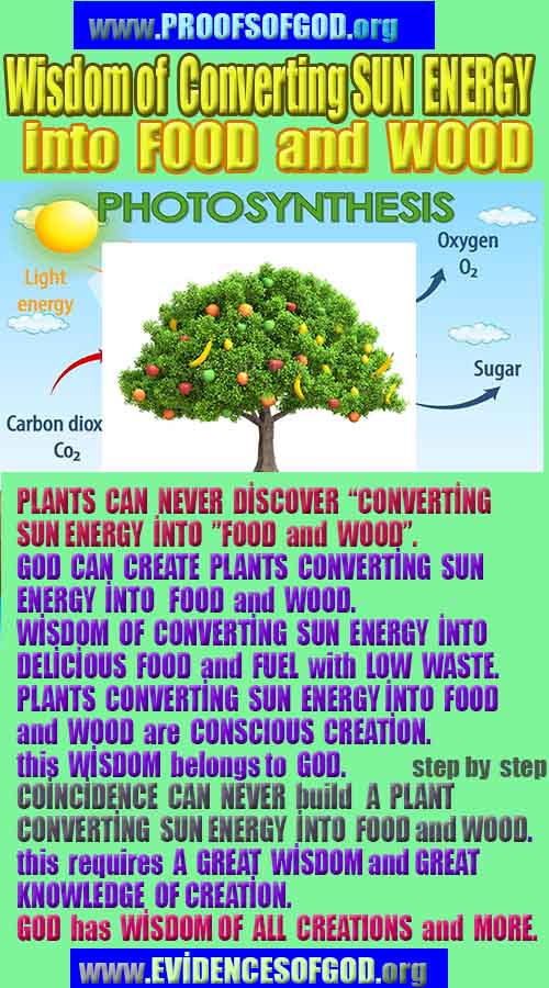 proofs of god, evidences of God scientific proof of God   