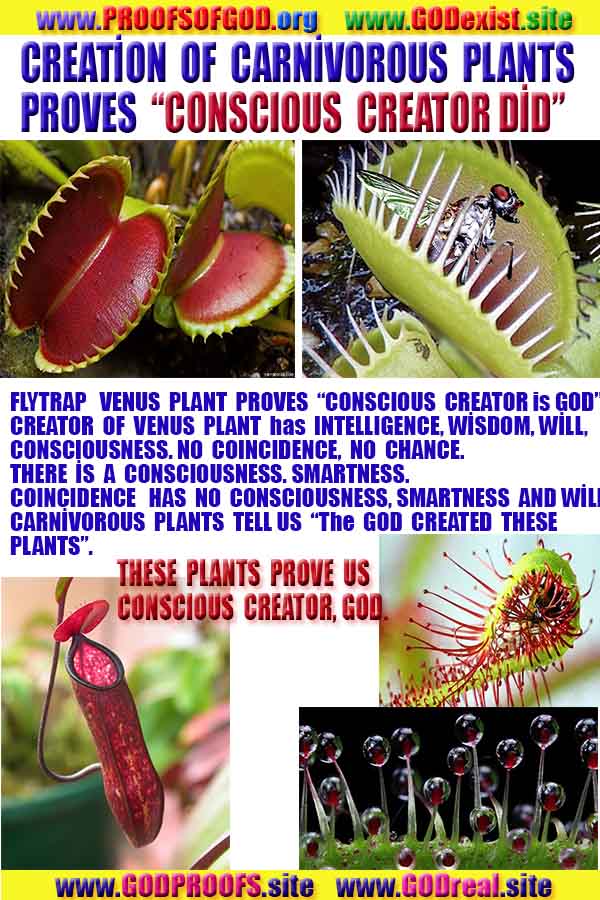 proofs of god, evidences of God scientific proof of God   