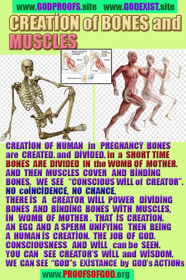 proofs of god, evidences of God scientific proof of God   